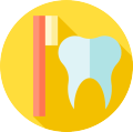 Dental Services Dental Care Brush